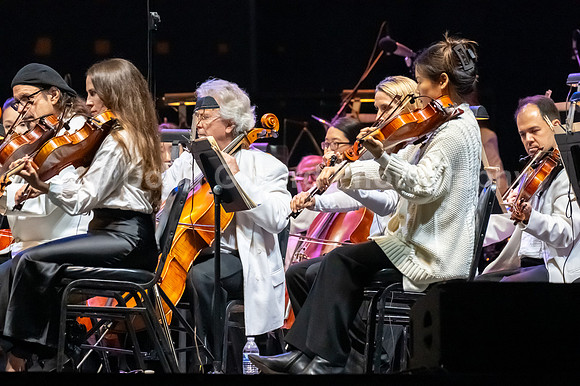 Pacific Symphony - John Williams' Magical Music of Harry Potter