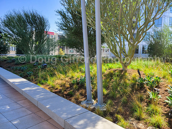 Orange County Museum of Art 2022