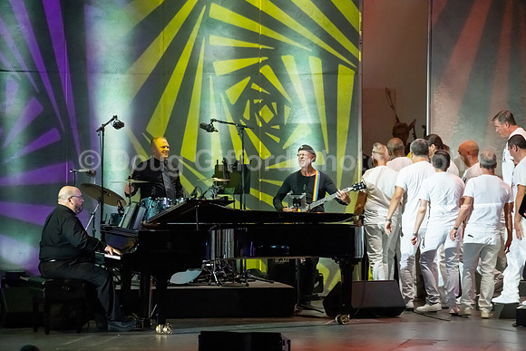 MenAlive at the Hollywood Bowl