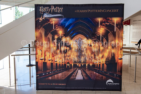 Pacific Symphony “Harry Potter and the Sorcerer’s Stone” in Concert