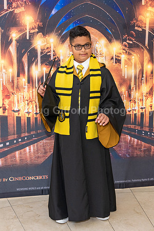 Pacific Symphony “Harry Potter and the Sorcerer’s Stone” in Concert