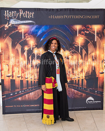 Pacific Symphony “Harry Potter and the Sorcerer’s Stone” in Concert