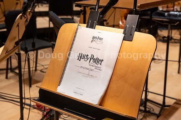 Pacific Symphony “Harry Potter and the Sorcerer’s Stone” in Concert