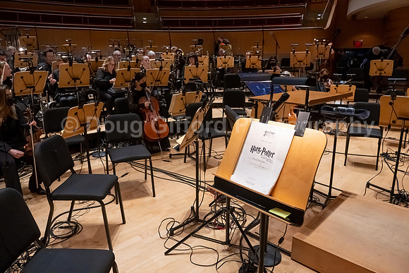 Pacific Symphony “Harry Potter and the Sorcerer’s Stone” in Concert