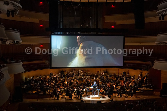 Pacific Symphony “Harry Potter and the Sorcerer’s Stone” in Concert