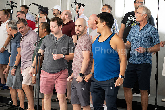 MenAlive at the Hollywood Bowl