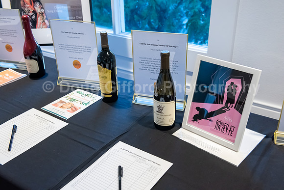 Lyric Opera of Orange County 2022 Gala