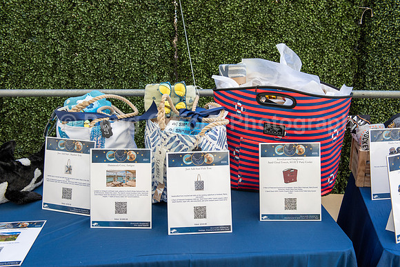 Marine Mammal Gala 2022