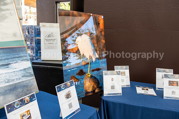 Marine Mammal Gala 2022