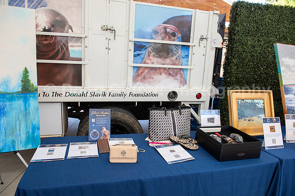 Marine Mammal Gala 2022
