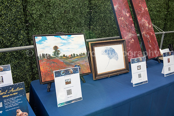 Marine Mammal Gala 2022