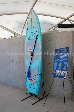 Marine Mammal Gala 2022