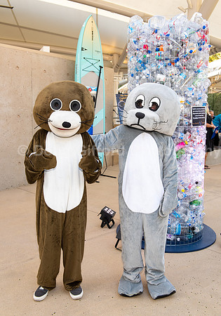 Marine Mammal Gala 2022