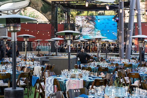 Marine Mammal Gala 2022