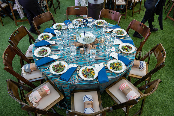 Marine Mammal Gala 2022