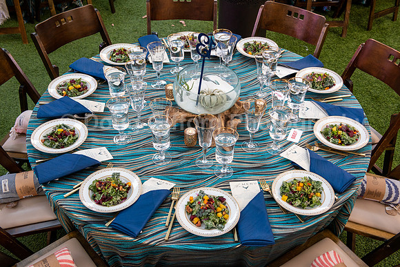 Marine Mammal Gala 2022