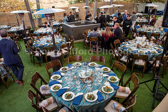 Marine Mammal Gala 2022