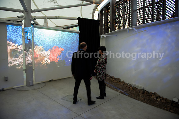 Marine Mammal Gala 2022