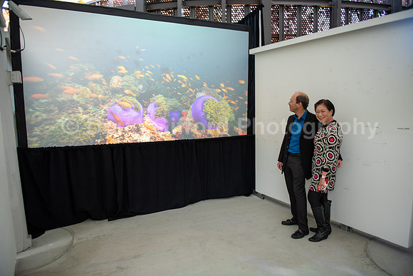 Marine Mammal Gala 2022