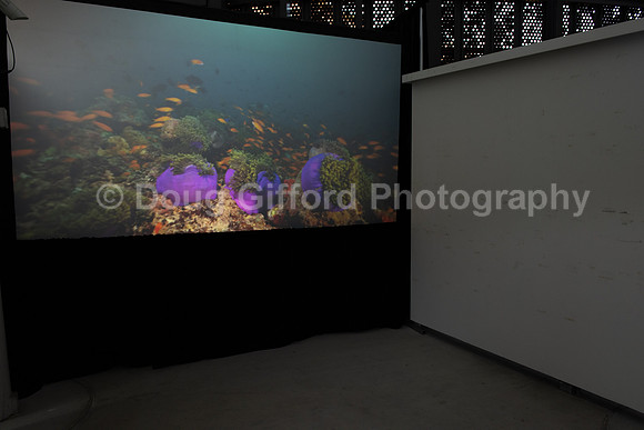 Marine Mammal Gala 2022