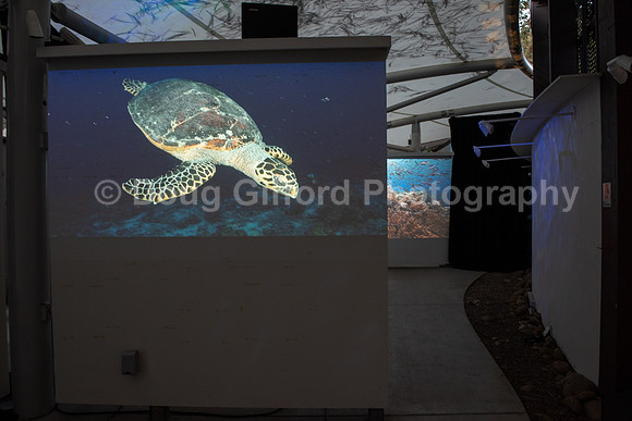 Marine Mammal Gala 2022