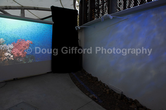 Marine Mammal Gala 2022