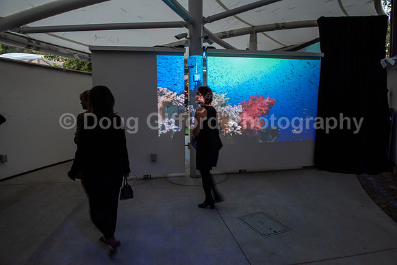 Marine Mammal Gala 2022