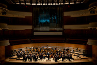 Pacific Symphony -  Beethoven’s Violin Concerto & Don Quixote