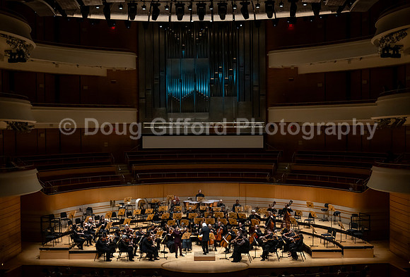 Pacific Symphony -  Beethoven’s Violin Concerto & Don Quixote