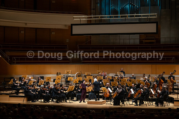 Pacific Symphony -  Beethoven’s Violin Concerto & Don Quixote