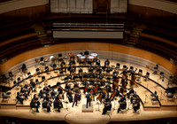 Pacific Symphony -  Beethoven’s Violin Concerto & Don Quixote