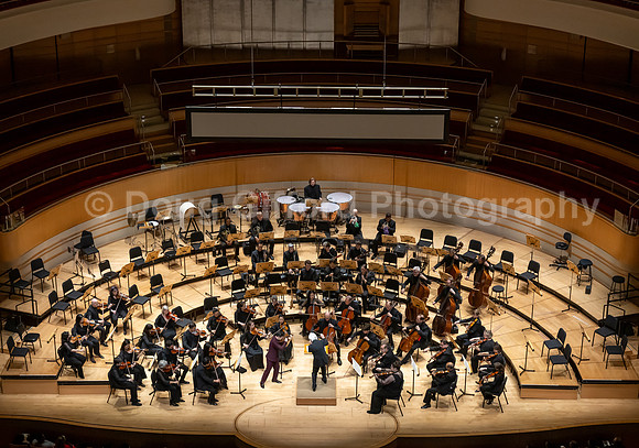 Pacific Symphony -  Beethoven’s Violin Concerto & Don Quixote