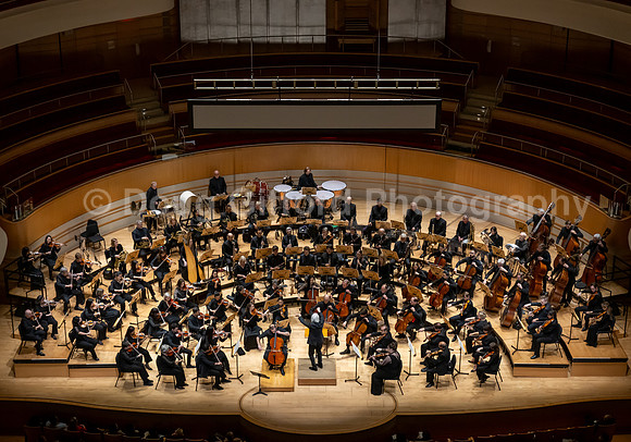 Pacific Symphony -  Beethoven’s Violin Concerto & Don Quixote