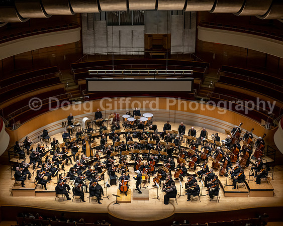 Pacific Symphony -  Beethoven’s Violin Concerto & Don Quixote