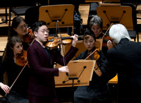 Pacific Symphony -  Beethoven’s Violin Concerto & Don Quixote