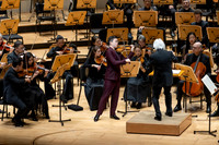 Pacific Symphony -  Beethoven’s Violin Concerto & Don Quixote