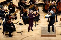 Pacific Symphony -  Beethoven’s Violin Concerto & Don Quixote