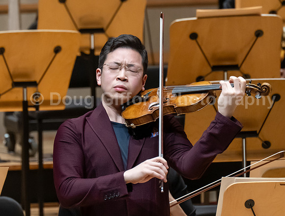 Pacific Symphony -  Beethoven’s Violin Concerto & Don Quixote