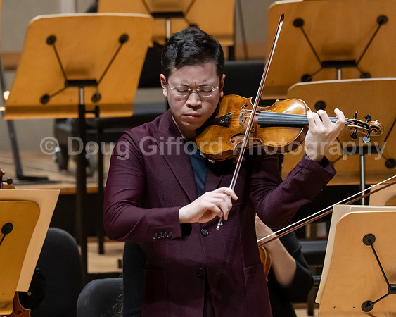 Pacific Symphony -  Beethoven’s Violin Concerto & Don Quixote