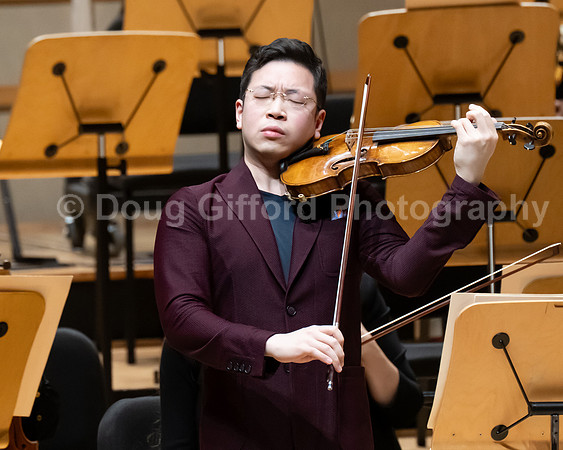 Pacific Symphony -  Beethoven’s Violin Concerto & Don Quixote
