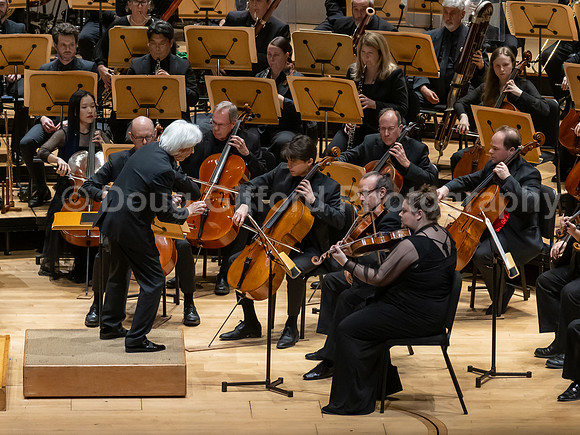 Pacific Symphony -  Beethoven’s Violin Concerto & Don Quixote