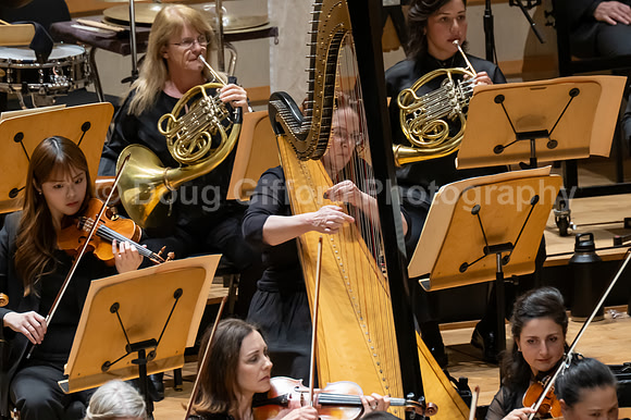 Pacific Symphony -  Beethoven’s Violin Concerto & Don Quixote