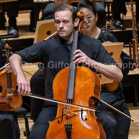 Pacific Symphony -  Beethoven’s Violin Concerto & Don Quixote