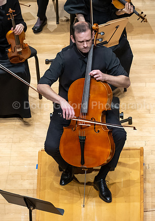 Pacific Symphony -  Beethoven’s Violin Concerto & Don Quixote