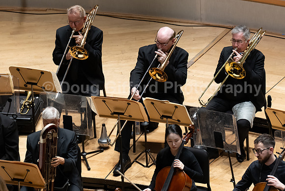 Pacific Symphony -  Beethoven’s Violin Concerto & Don Quixote