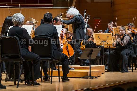 Pacific Symphony -  Beethoven’s Violin Concerto & Don Quixote