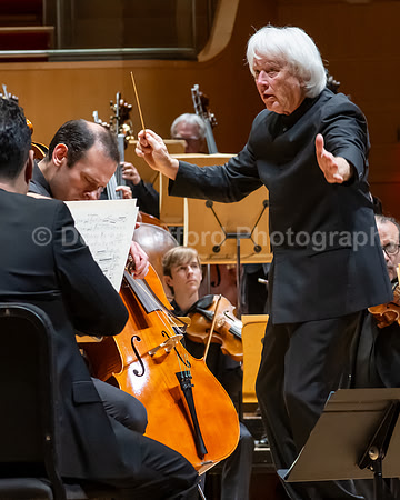 Pacific Symphony -  Beethoven’s Violin Concerto & Don Quixote