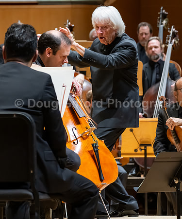 Pacific Symphony -  Beethoven’s Violin Concerto & Don Quixote