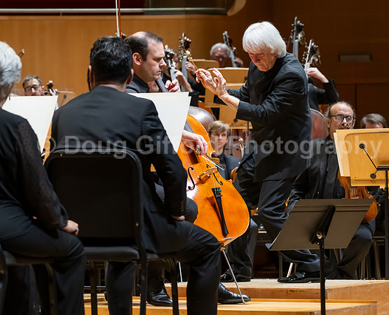Pacific Symphony -  Beethoven’s Violin Concerto & Don Quixote