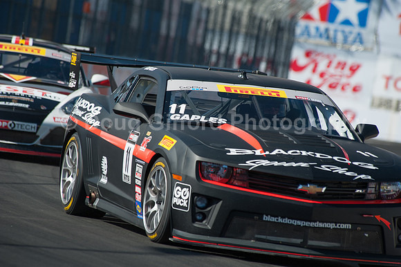 40th Toyota Grand Prix of Long Beach 2014